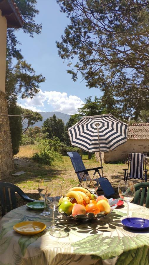 Casa Rural El Pinar Villa Navas de Riofrio Buitenkant foto